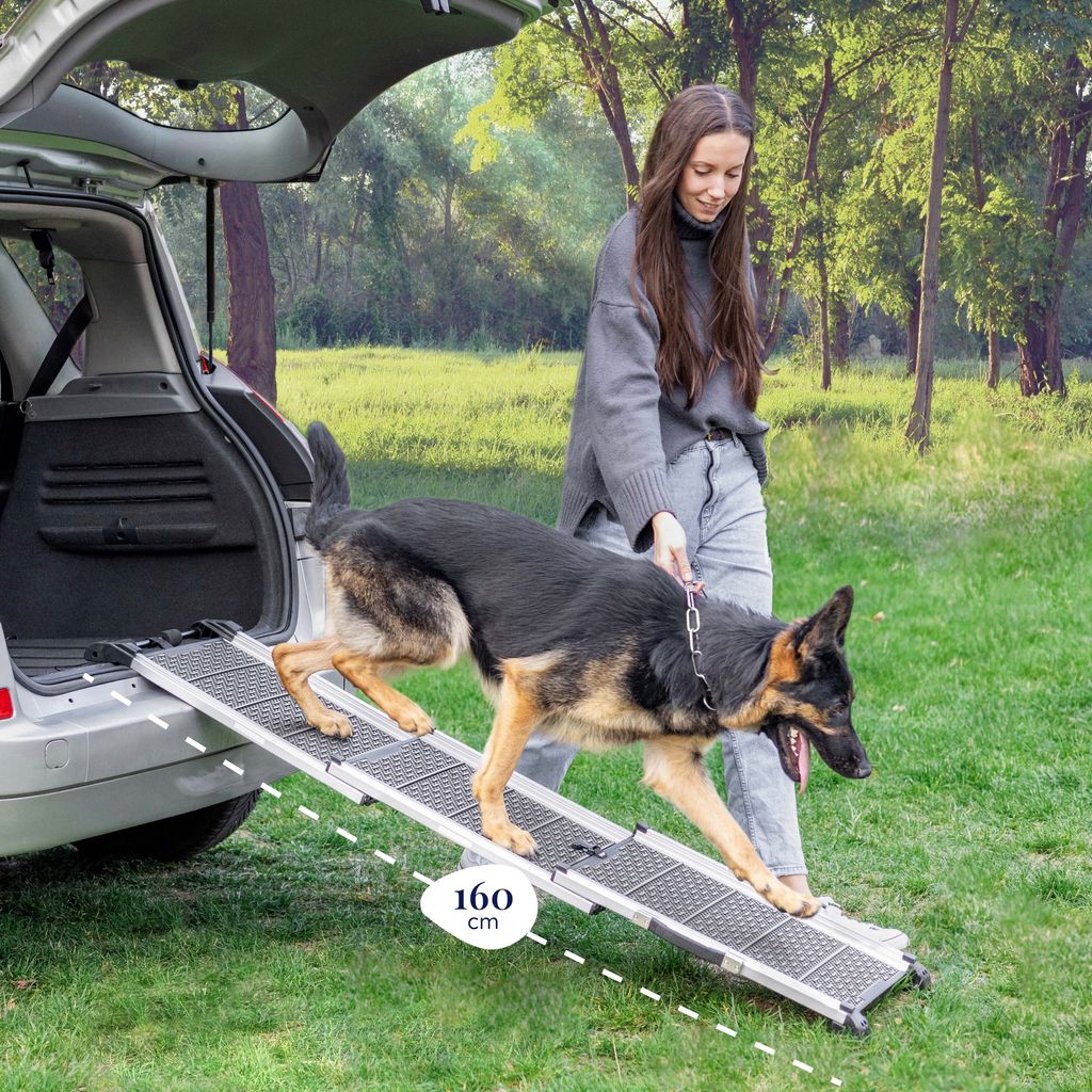 Perfect Original Photos about  Erstaunlich Rampe Auto Hund Fotos  as Your HD Pictures