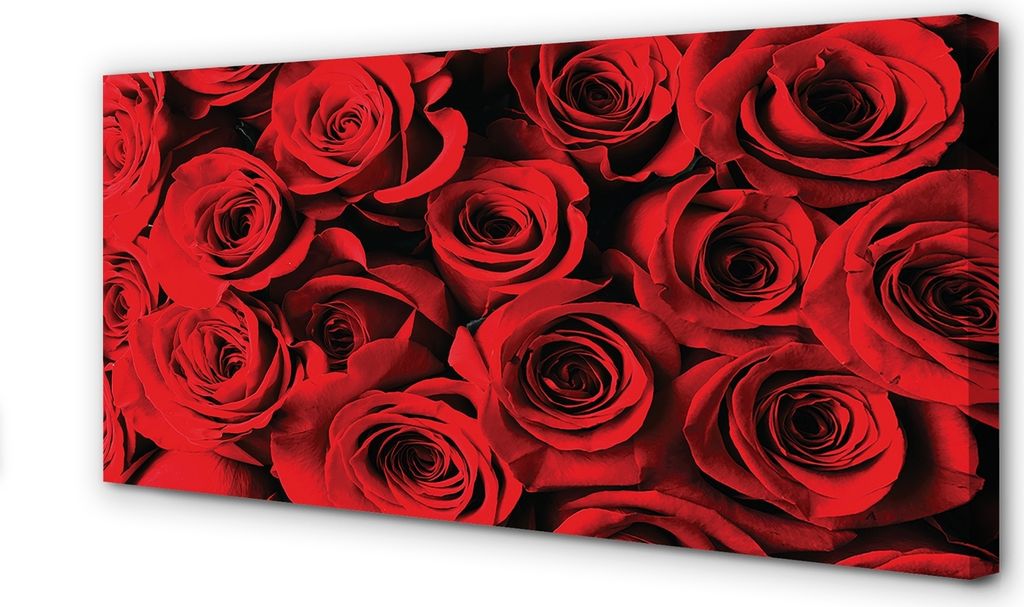 Leinwandbild 100x50 Wandkunst Rosen