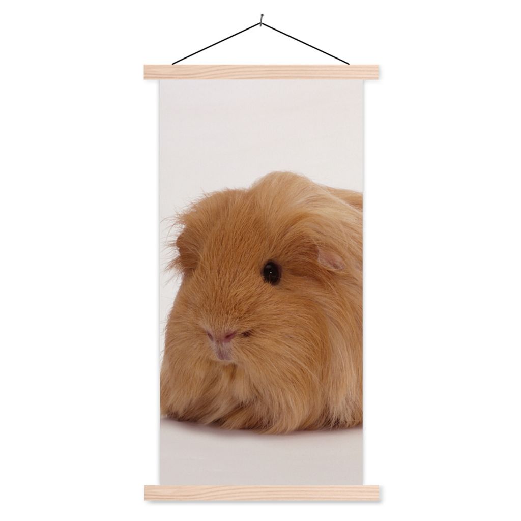 MuchoWow Textilposter Sheltie-Meerschweinchen 40x80 cm mit holzfarbenen Rahmen - Wohnzimmer