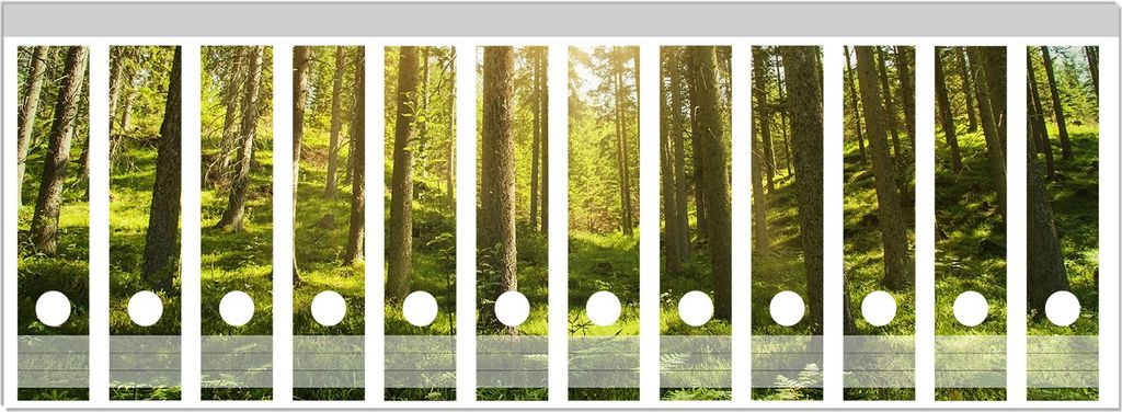 Wallario Ordnerrücken Sticker, selbstklebend für breite Ordner, 12 Stück, Motiv Sonnenstrahlen im Nadelwald mit Moos und Farn