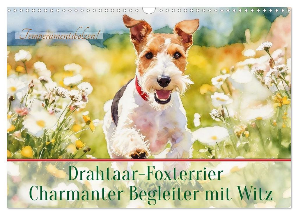 Drahthaar-Foxterrier charmanter Begleiter mit Witz (Wandkalender 2027 DIN A3 quer), CALVENDO Monatskalender