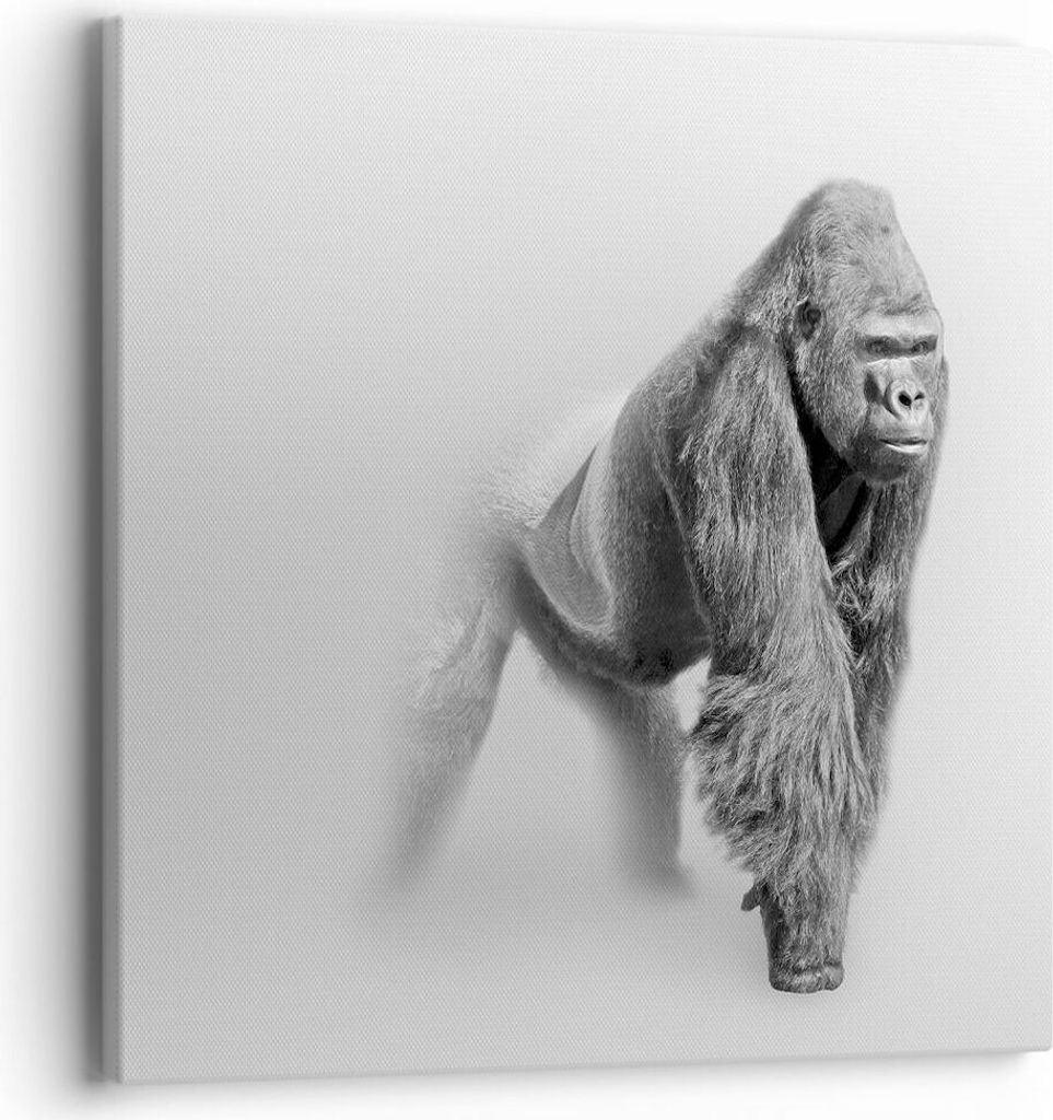 Bild auf Leinwand - Leinwandbild - Orang-Utan Tier - 40x40cm - Wand Bild - Wanddeko - Wandbilder - Leinwanddruck - Bilder - Kunstdruck - Wanddekora...