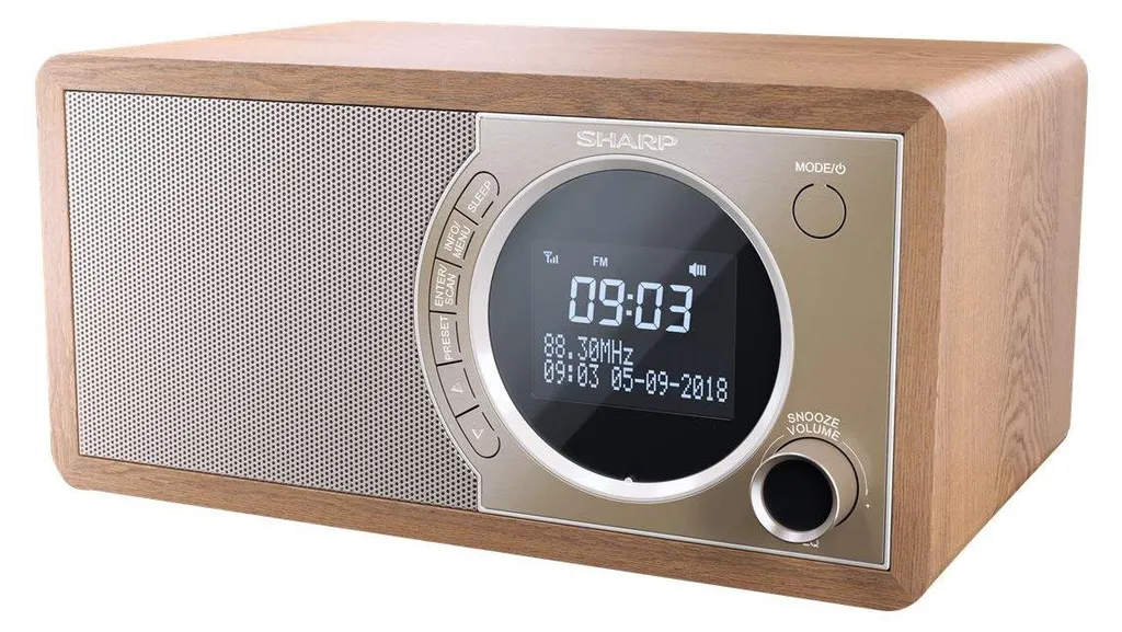 Radio Numérique DAB+ Sharp DR-450(BR) avec Enceinte Bluetooth en Bois - 11