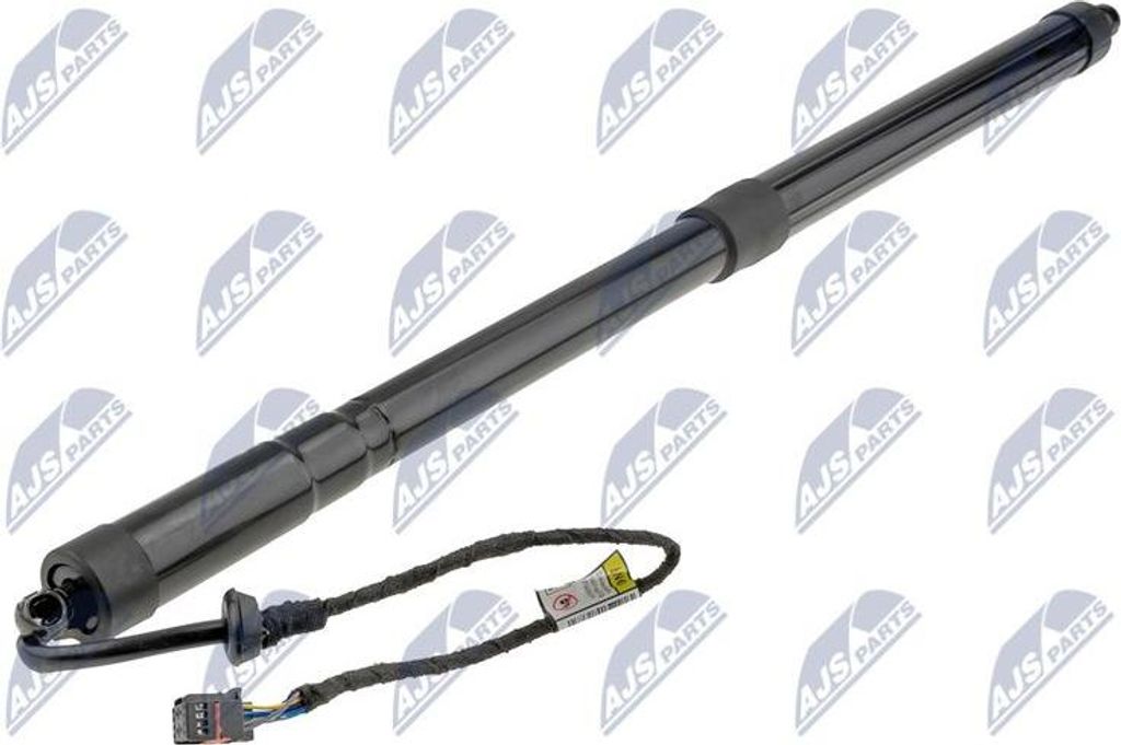 NTY AE-FR-064 Elektromotor, Heckklappe OE AM51U404C84AJ kompatibel mit C-Max