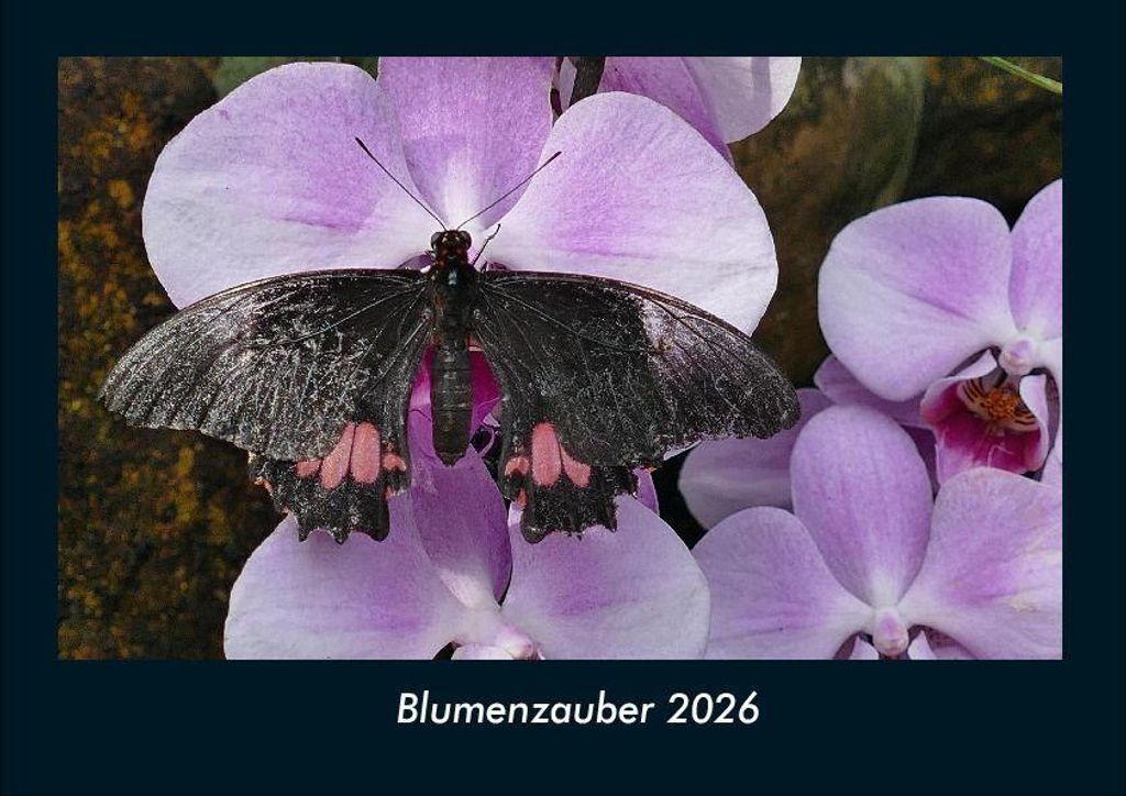 Blumenzauber 2026 Fotokalender - Querformat DIN A4, Monatskalender mit Bild-Motiven aus Fauna und Flora, Natur, Blumen und Pflanzen