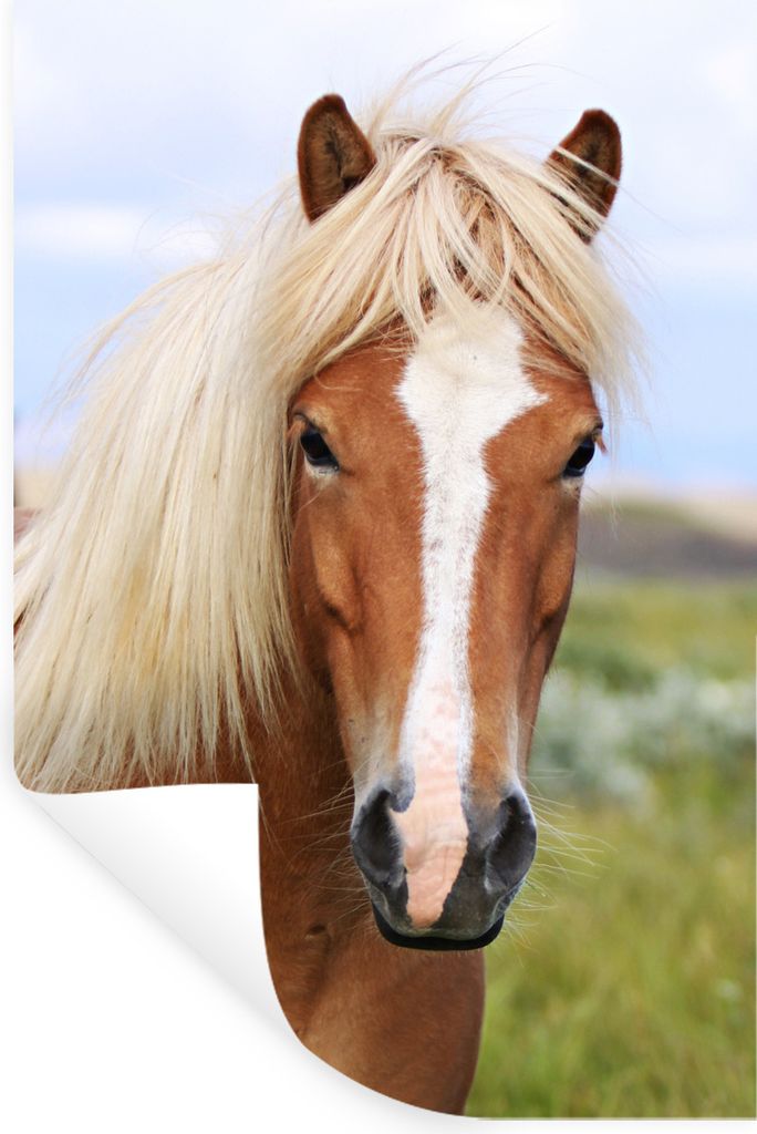 MuchoWow - Sticker - Dekorfolie