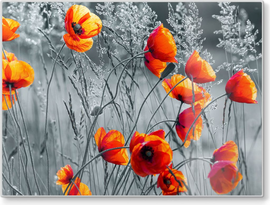DEQORI Schneidebrett Glas 40x30 cm 'Rote Mohnblumen' Schneideplatte groß