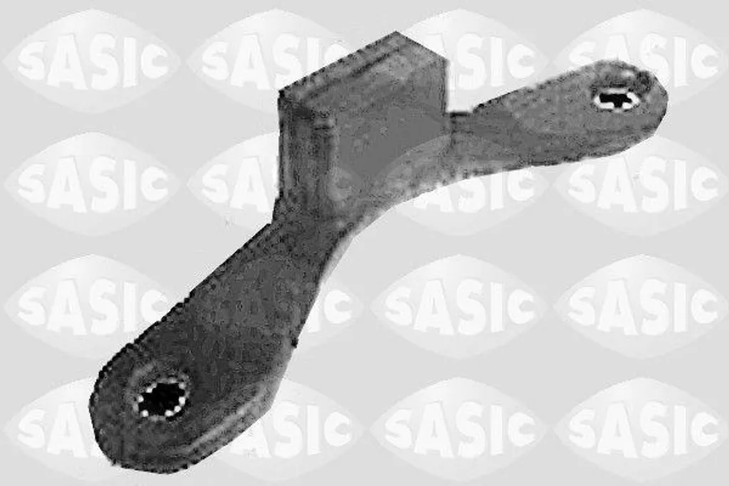 Supprimer Vibrations Moteur avec Roulement Sasic 4001818 OE 6025317020