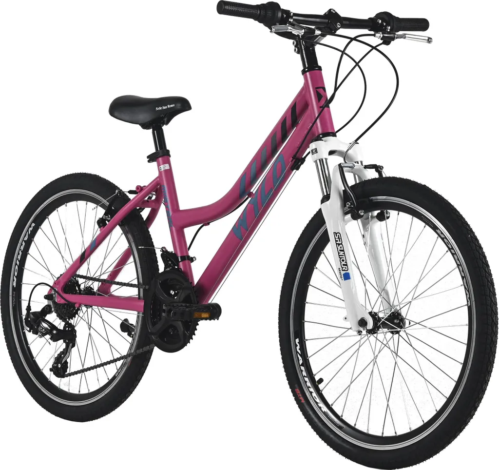 Vélo Mistral 24 pouces 18 vitesses WYLD cadre 38 cm pour fille de 8 ans