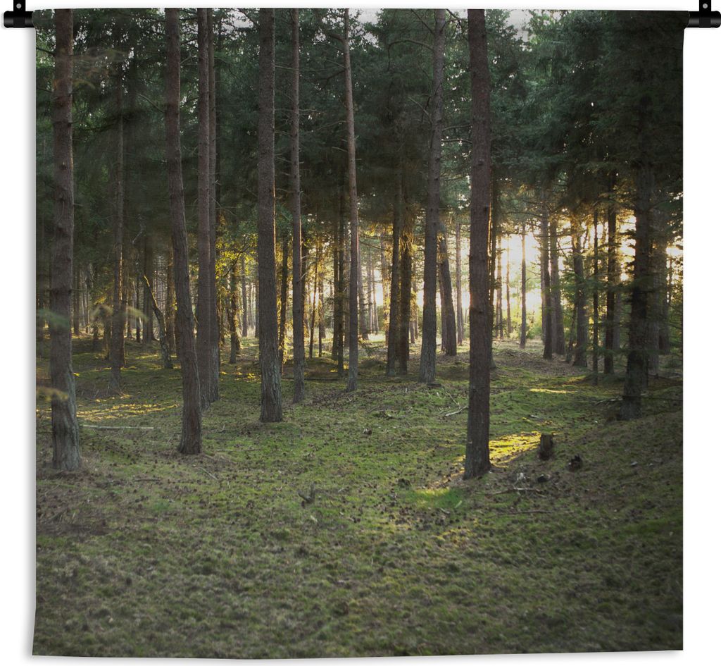 MuchoWow Wandteppich Wandbehang Baum - Sonne - Gras 90x90 cm Tapisserie Dekoration Wandtuch - Wandaufhänger