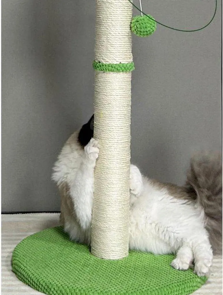 Grattoir arbre à chat en sisal véritable pour petits et moyens chats