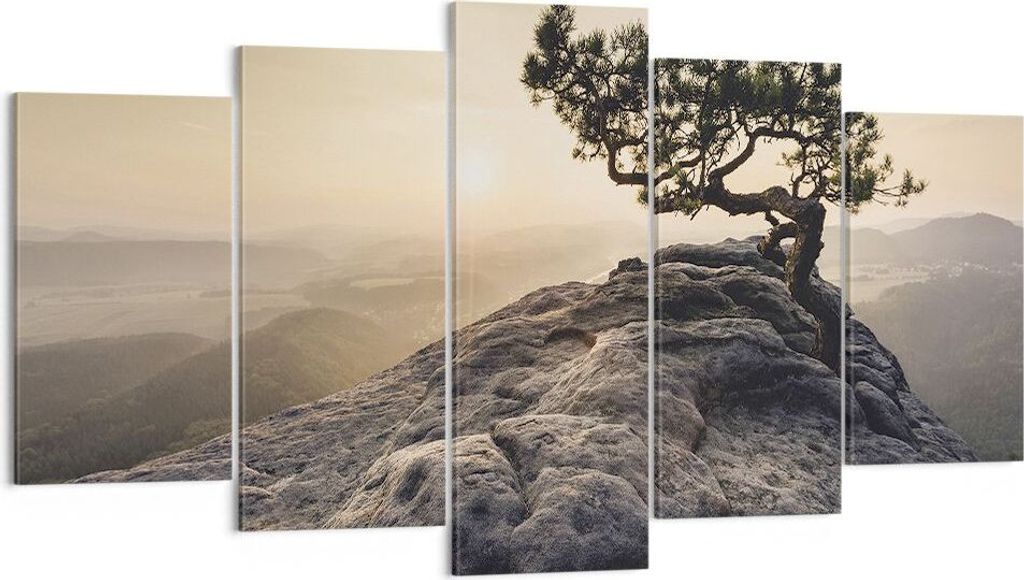 Bild auf Leinwand - Leinwandbild - 5 Teile - Alt Kiefer Berge - 160x85cm - Wand Bild - Wanddeko - Wandbilder - Leinwanddruck - Bilder - Wanddekorat...