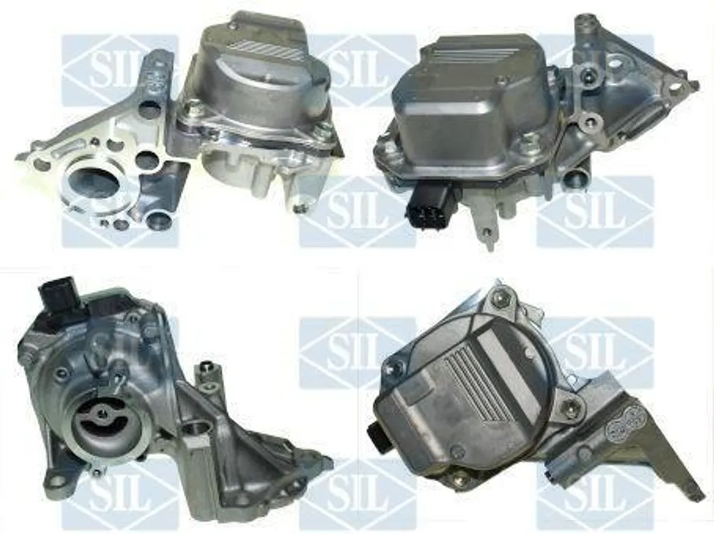 Refroidissement moteur TOYOTA RAV4 V XA50 - Pompe Saleri SIL PE1893