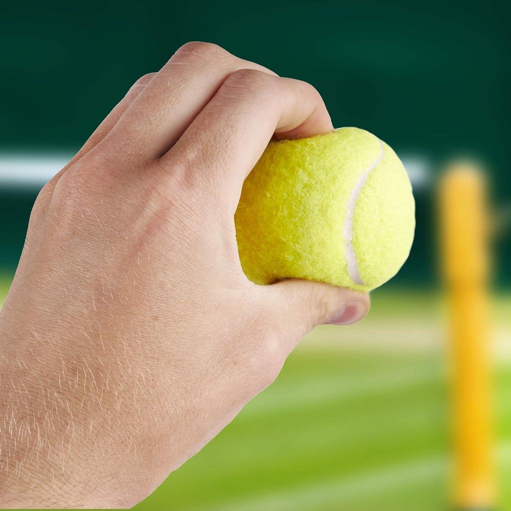 15 Tennisbälle mit Tragetasche, ideal für Sport, Training, Spiele, Hunde und Haustiere, robust und praktisch