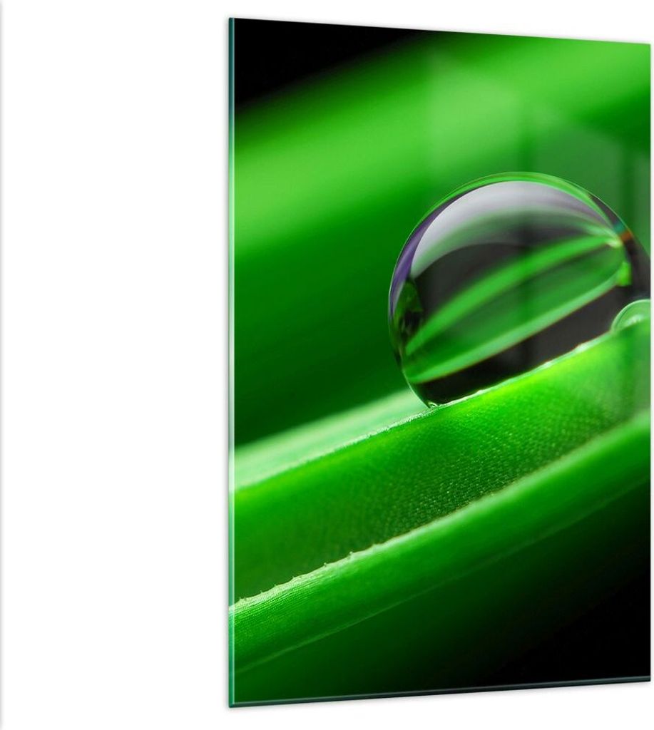 Bilder auf glas - Einteilig - Pflanze Tropfen Wasser Blase - 80x120cm - Glasbilder - Wandbilder - Bilder - Wanddekoration aus Glas - Glas Bilder - ...
