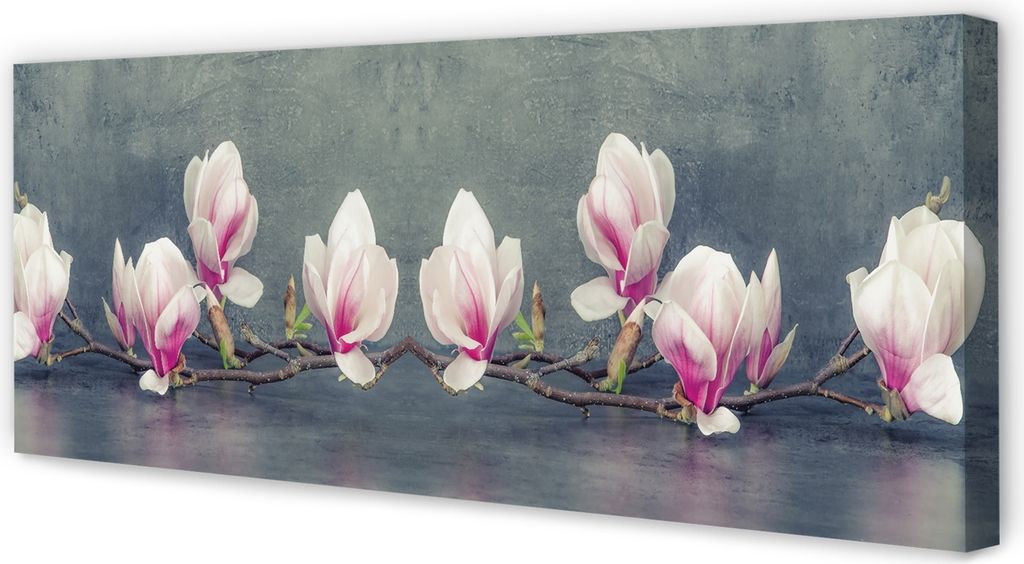 Leinwandbild 125x50 Wandkunst Magnolienzweig