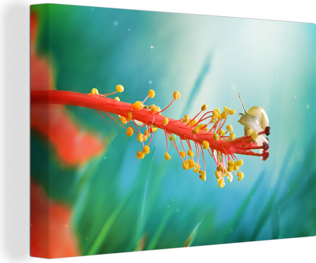 OneMillionCanvasses - Leinwandbilder - 140x90 cm, Schnecke auf Pflanze, Wandbilder Kunstdruck Wanddekoration