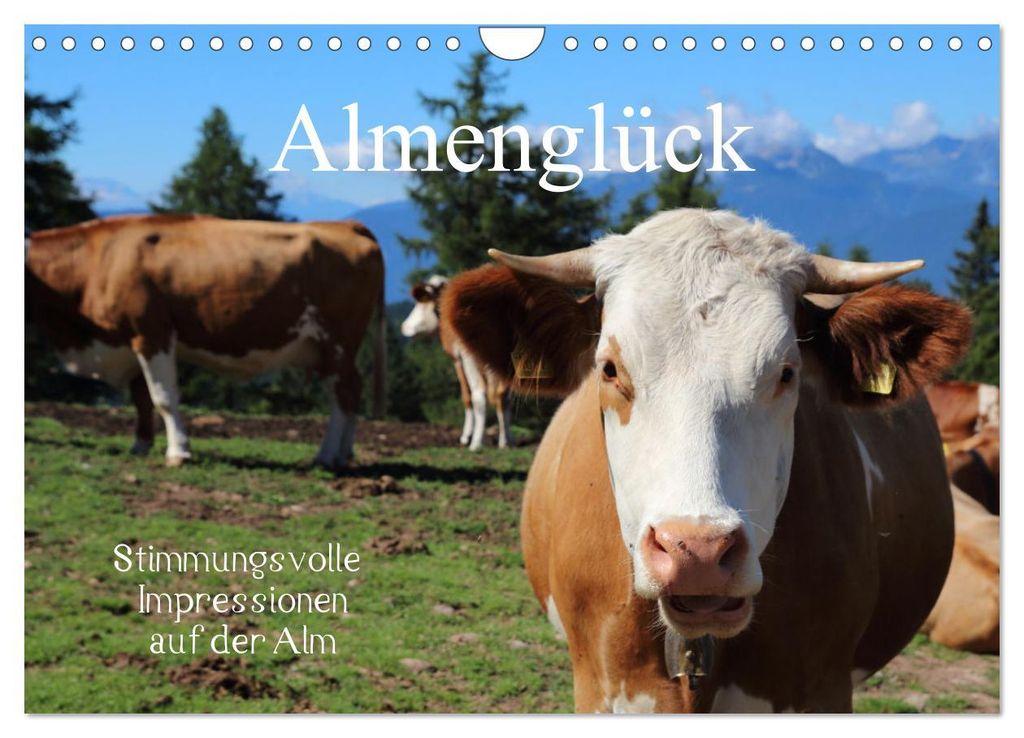 Almenglück (Wandkalender 2027 DIN A4 quer), CALVENDO Produktbild 