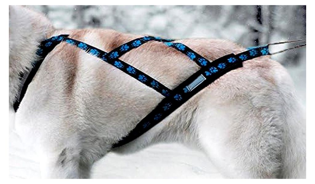 X-Back Zuggeschirr für Bike-, Skijöring, Dogscooting, Schlitten, Blaue Pfoten (S)