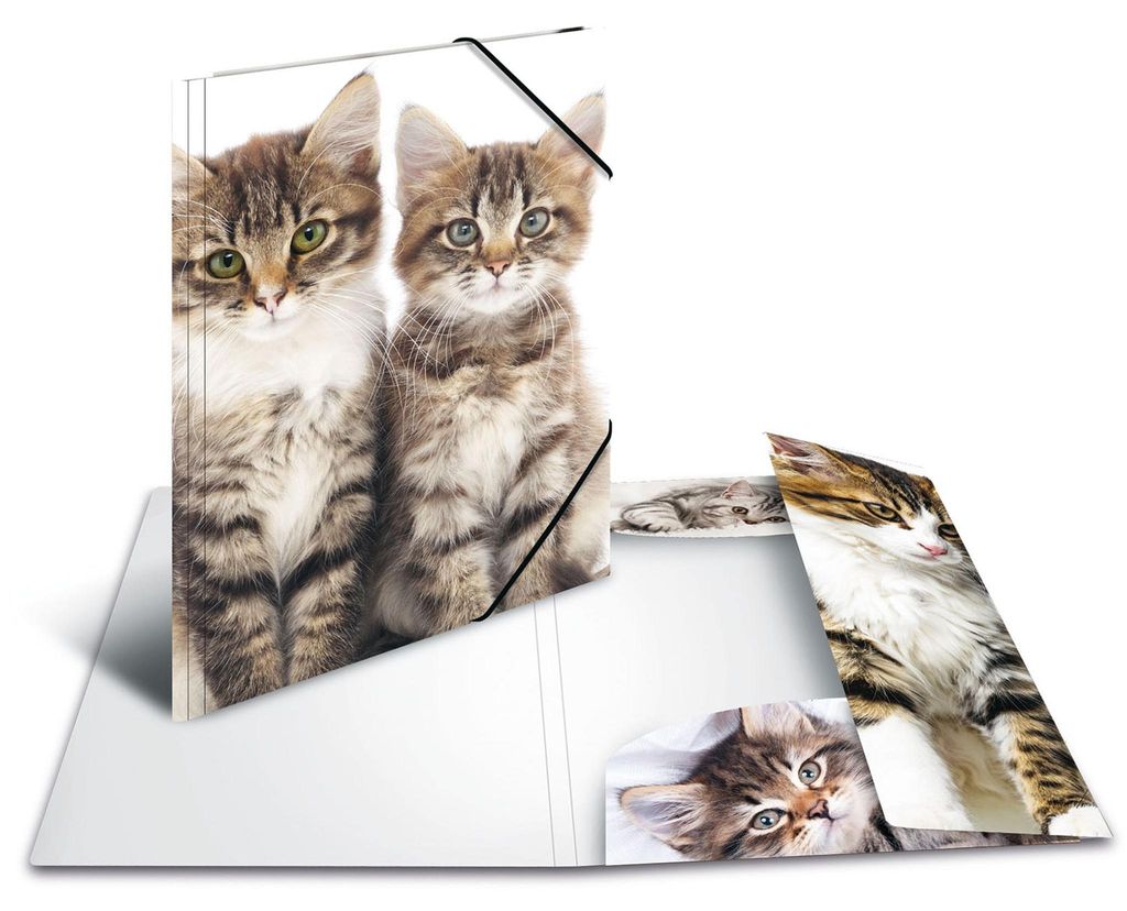 HERMA Eckspannermappe "Katzen" aus PP DIN A4