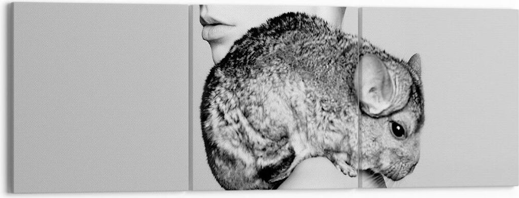 Bild auf Leinwand - Leinwandbild - 3 Teile - Chinchilla Frau Porträt - 150x50cm - Wand Bild - Wanddeko - Wandbilder - Leinwanddruck - Bilder - Wan...