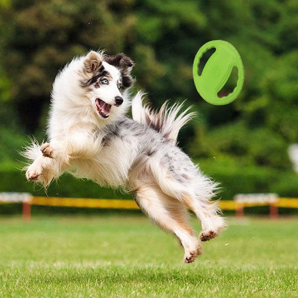 Frisbee und wurfscheiben，Mittlere und große Hunde Produktbild 4