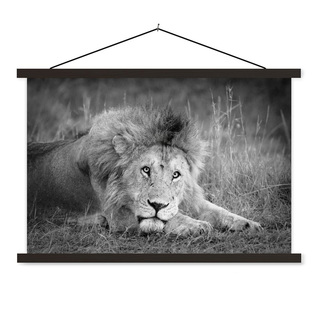 MuchoWow Textilposter Löwe - Schwarz - Tiere 60x40 cm mit schwarzem Rahmen - Hölzernes