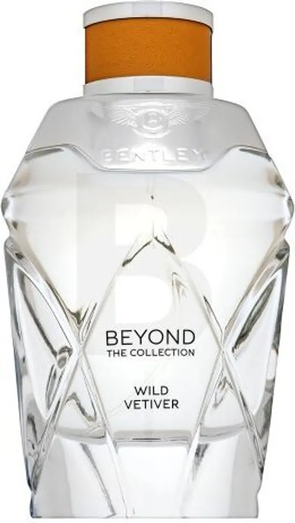 Bentley Beyond Wild Vetiver Java EDP - Fragranza Niche Quality 100ml