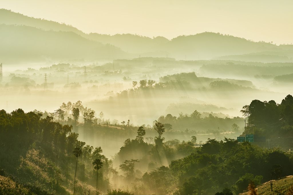 Muralo Fototapete Wald im Nebel 208 (B) x 146 (H) cm Vlies Tapete Wandtapeten Bäume Wohnzimmer Schlafzimmer moderne Wandbilder XXL Landschaft Pano...