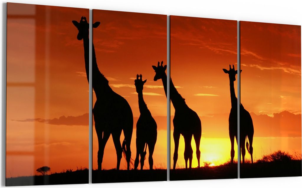 DEQORI Glasbild Echtglas 4x30x60 cm 'Abend in der Savanne' Wandbilder XXL groß