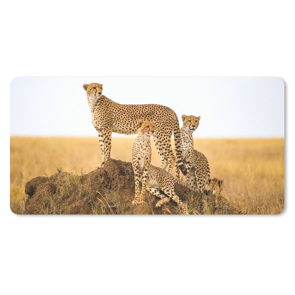 MuchoWow Mauspad Mousepad Gepard - Gras - Natur - Savanne 60x30 cm - Mousepads - Maus Mat - Pad - Mausunterlage - Nachhaltig