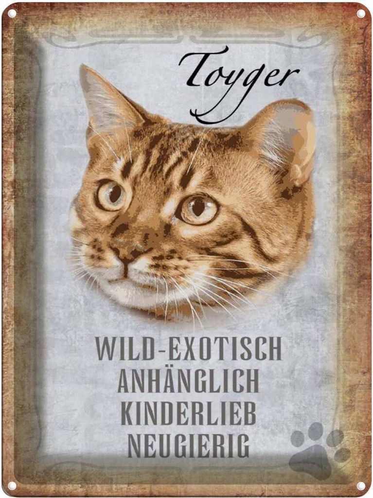 vianmo Blechschild 40x30 cm Toyger Katze Wandbild