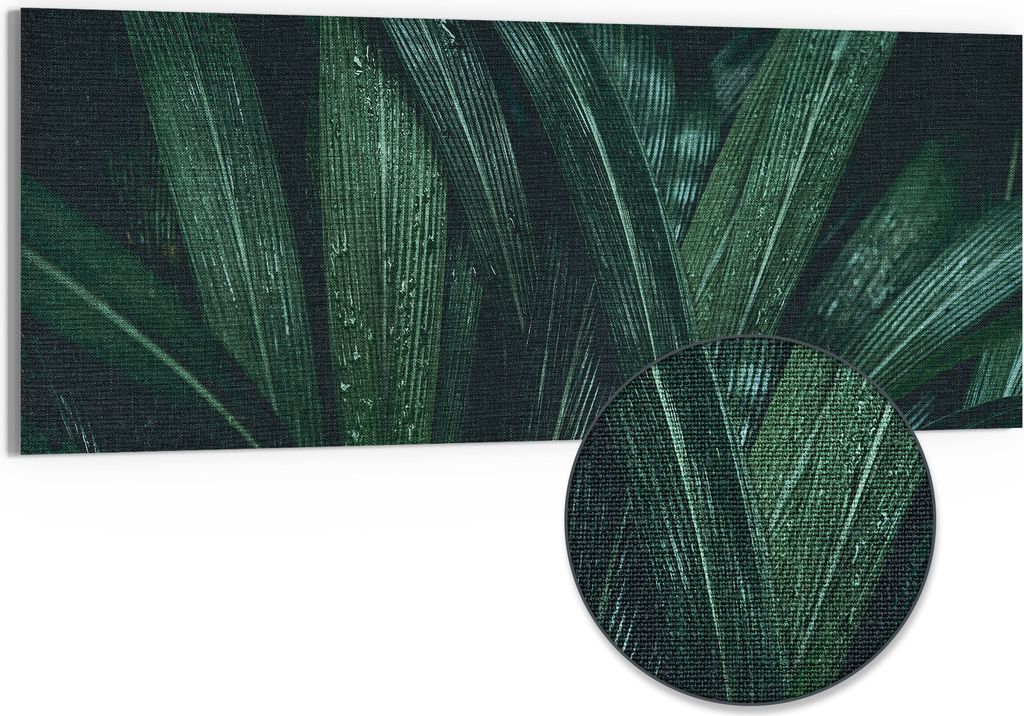 DEQORI Hybrid Leinwand Bild 125x50 cm 'Tropisches Flüstern' Produktbild 