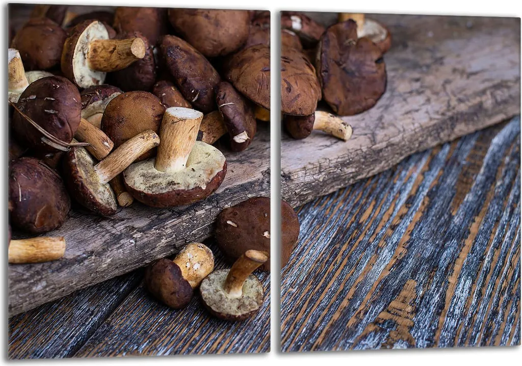 Coprifornelli Design Funghi Porcini - Set Vetro 2 Pezzi 40x52 Cucina