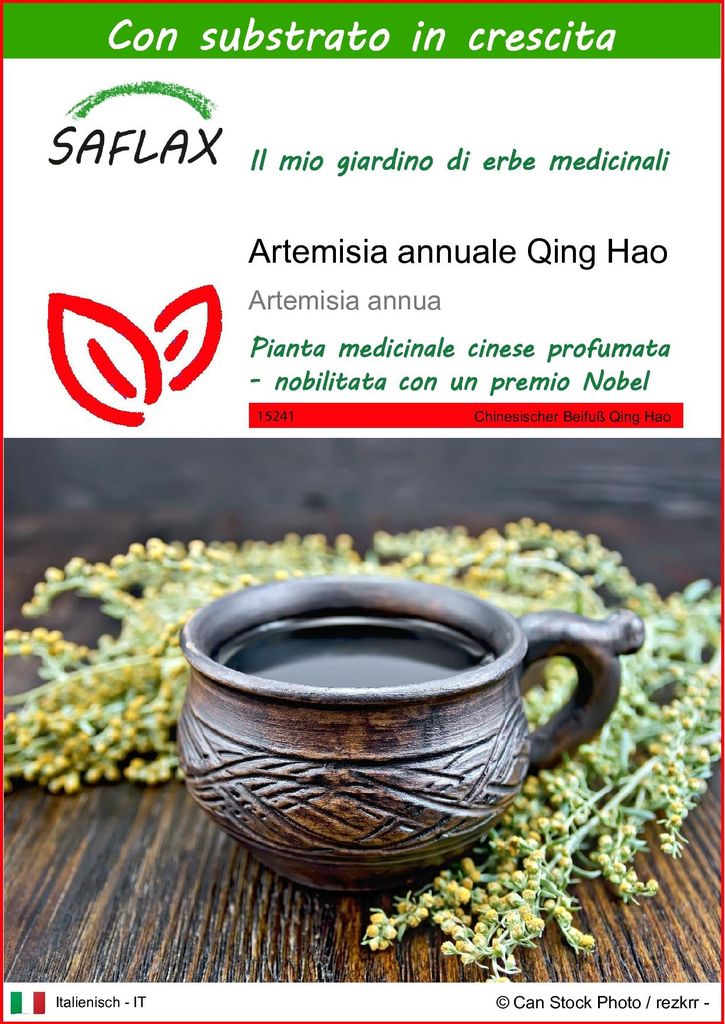 SAFLAX  - Artemisia annuale Qing Hao - 250 semi - Con Immagine del prodotto 