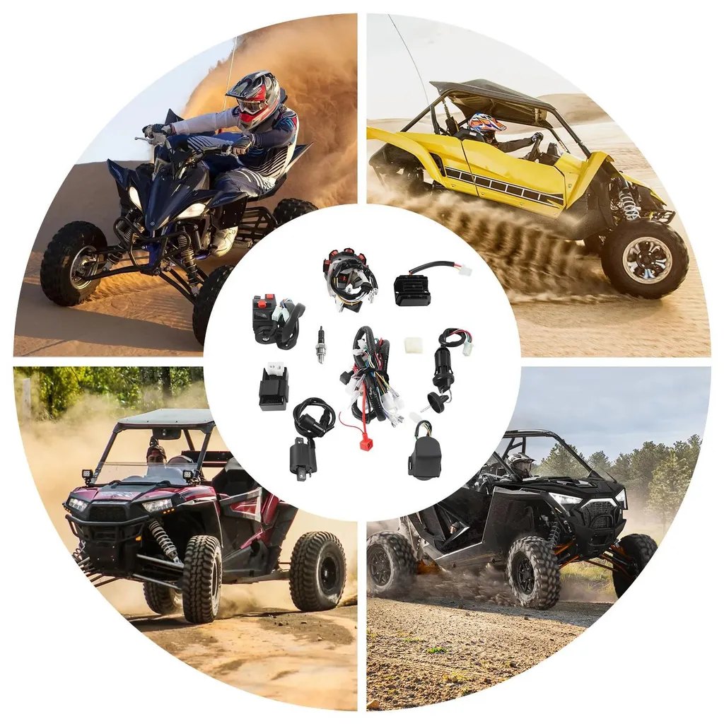 Câblage complet de remplacement pour Quad 200cc et 250cc avec stator - 6