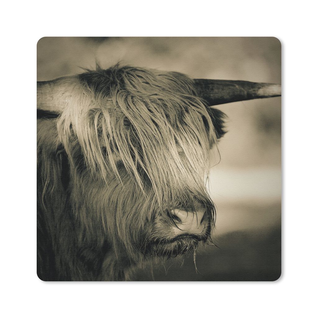 MuchoWow Mauspad Mousepad Schottischer Highlander - Tiere - Haare 20x20 cm - Mousepads - Maus Mat - Pad - Mausunterlage - Desk Mat - Bureauartikeln