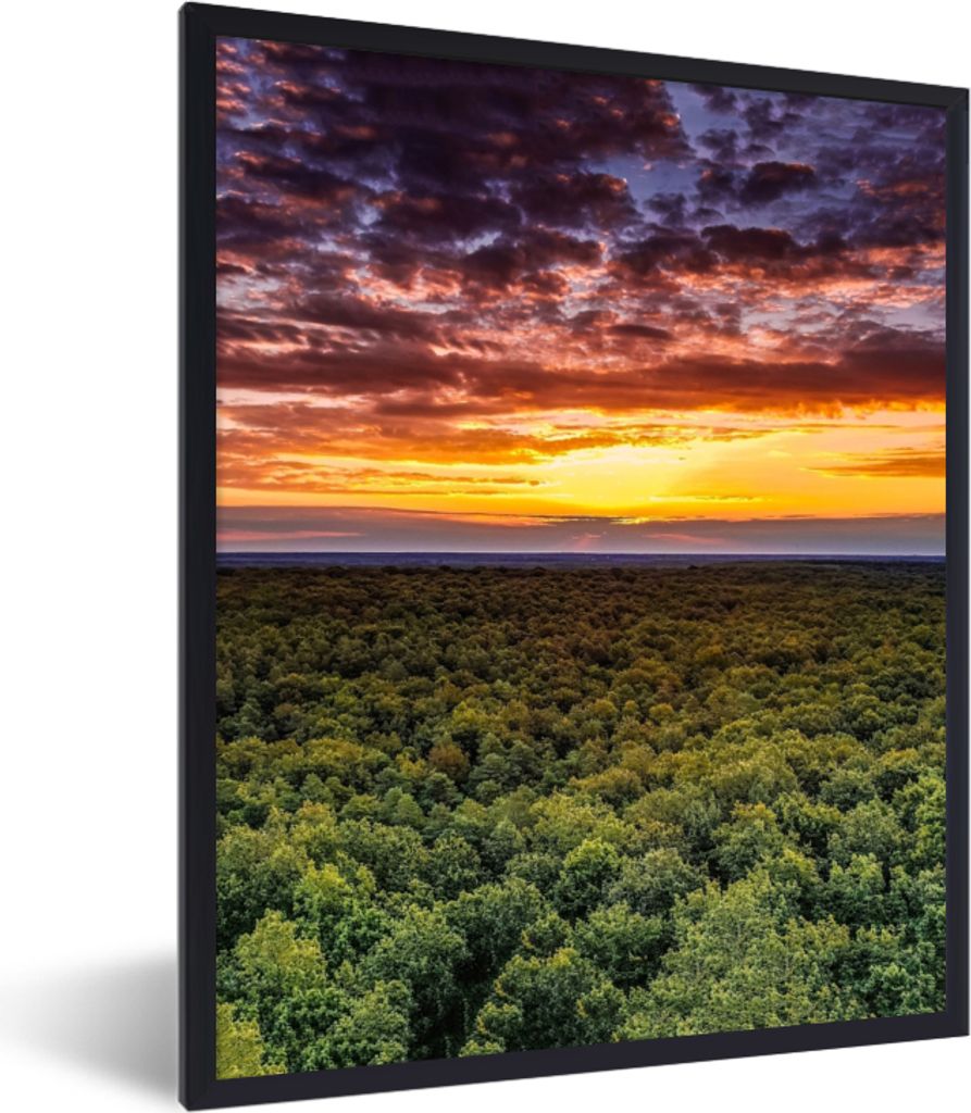 MuchoWow Gerahmtes Poster Wald - Nacht - Himmel - Horizont - Bäume 30x40 cm - Poster mit Schwarzem Bilderrahmen Wandposter Rahmen Foto Bilder - ...