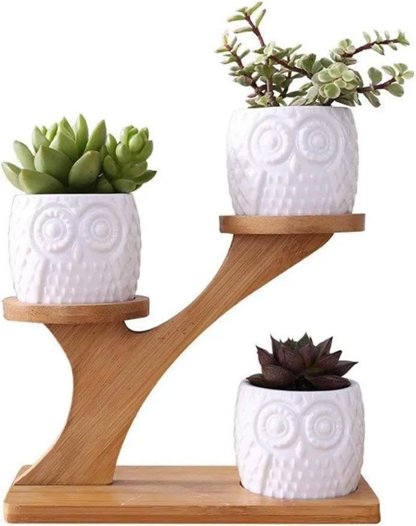 Mini pots de fleurs hibou en céramique et plateau bambou décoratif x3