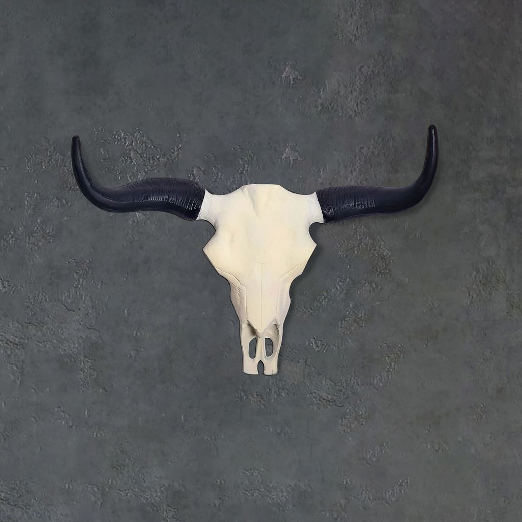 A bull skull with black horns mounted on a textured gray wall.