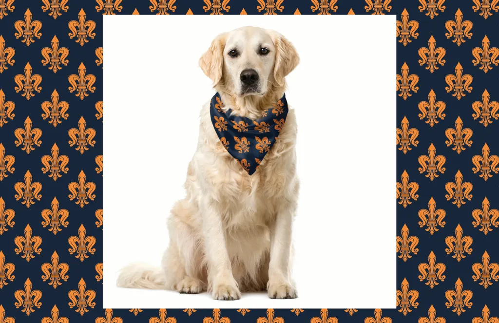 Foulard Cane ABAKUHAUS Fleur De Lis Gotico - Blu e Arancio 40cm