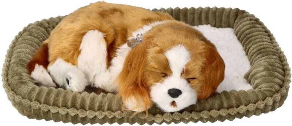 Oddychający szczeniaczek Cavalier Perfect Petzzz Zdjęcie produktu 