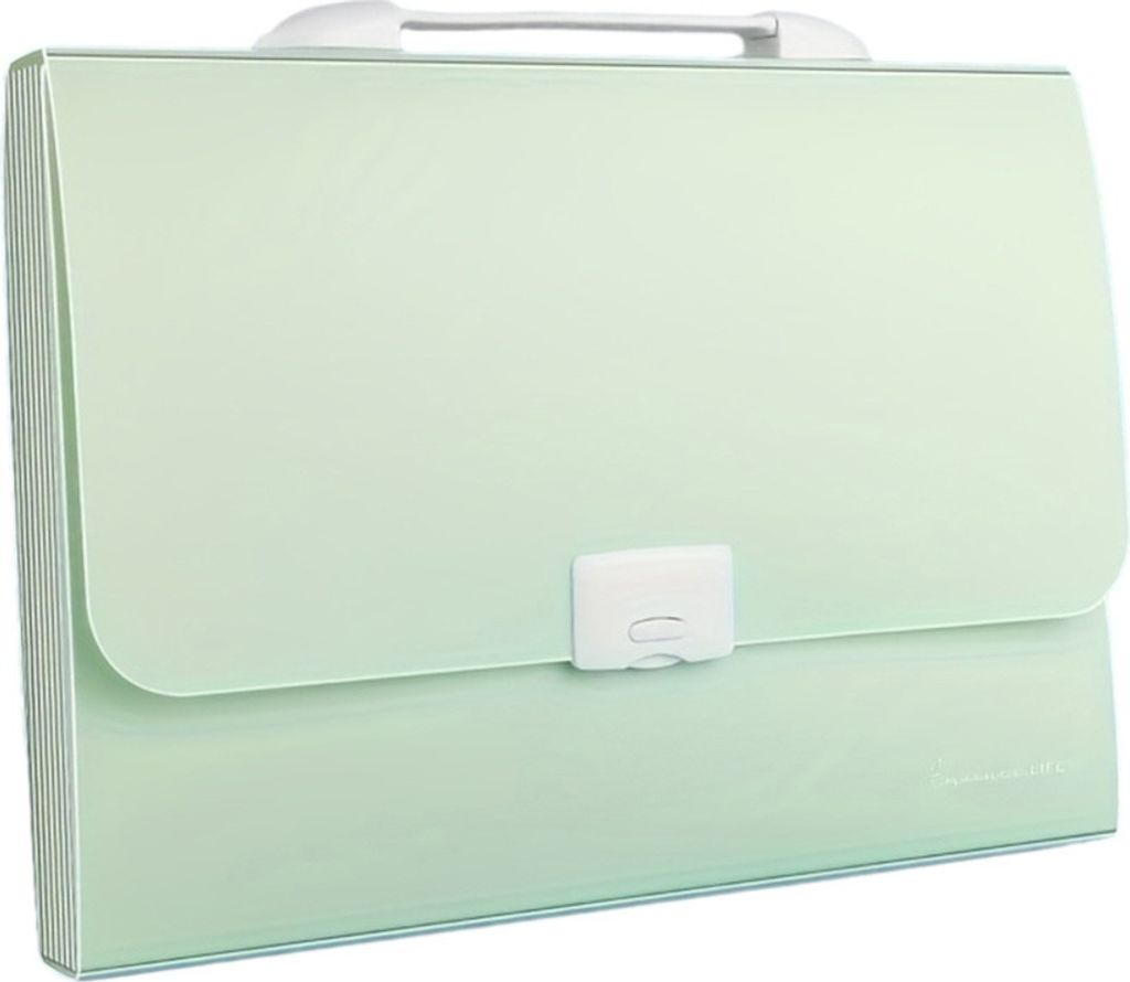 Akkordeon-Aktenordner-Organizer, 13 Faecher, erweiterbare