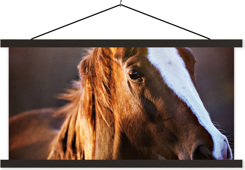 MuchoWow Textilposter Pferd - Licht - Mantel 120x60 cm mit schwarzem Rahmen - Dekoration Schlafzimmer