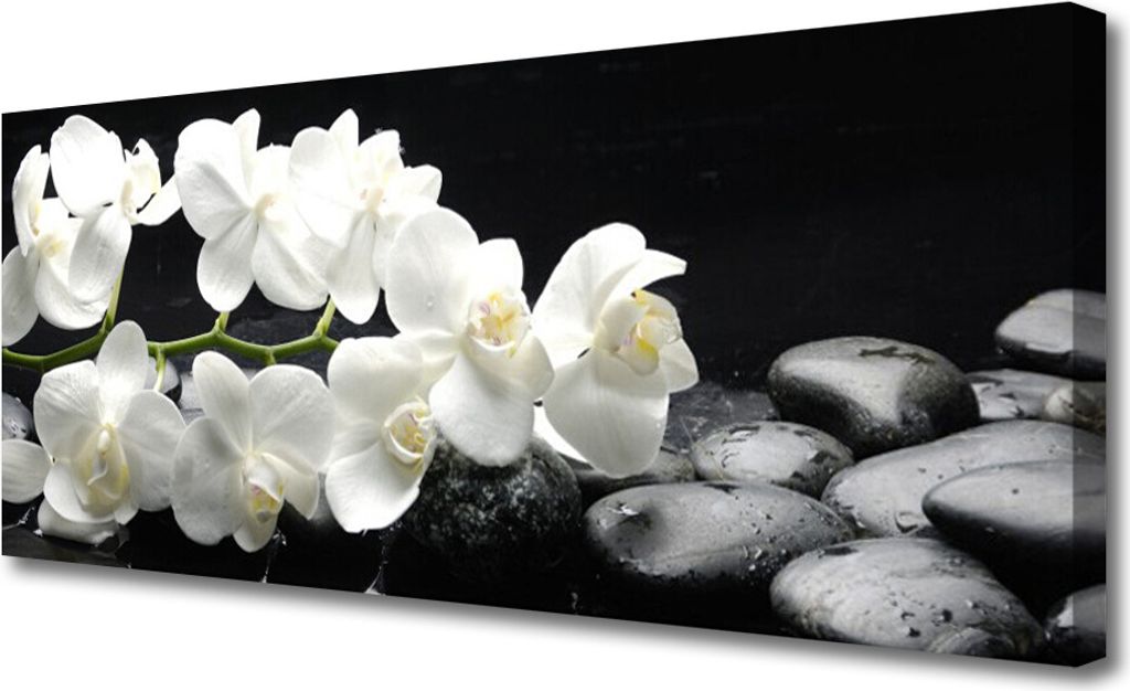 Tulup Leinwand-Bilder 125x50 Wandbild Canvas Kunstdruck Blumen Steine Pflanzen