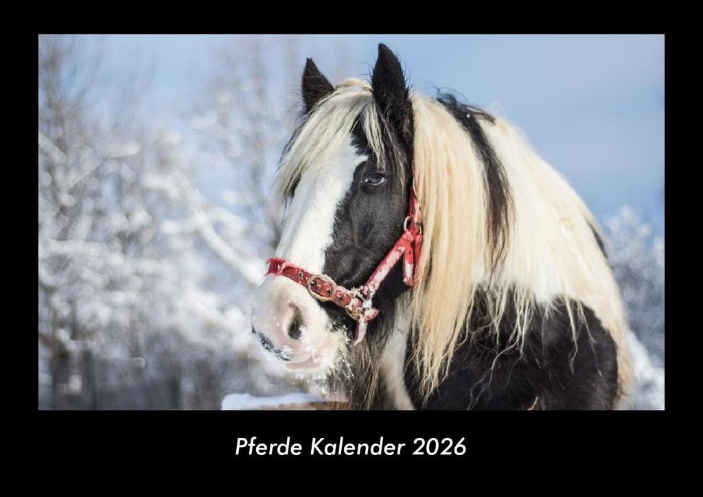 Pferde Kalender 2026 Fotokalender - Querformat DIN A3, Monatskalender mit Bild-Motiven von Haustieren, Bauernhof, wilden Tieren und Raubtieren