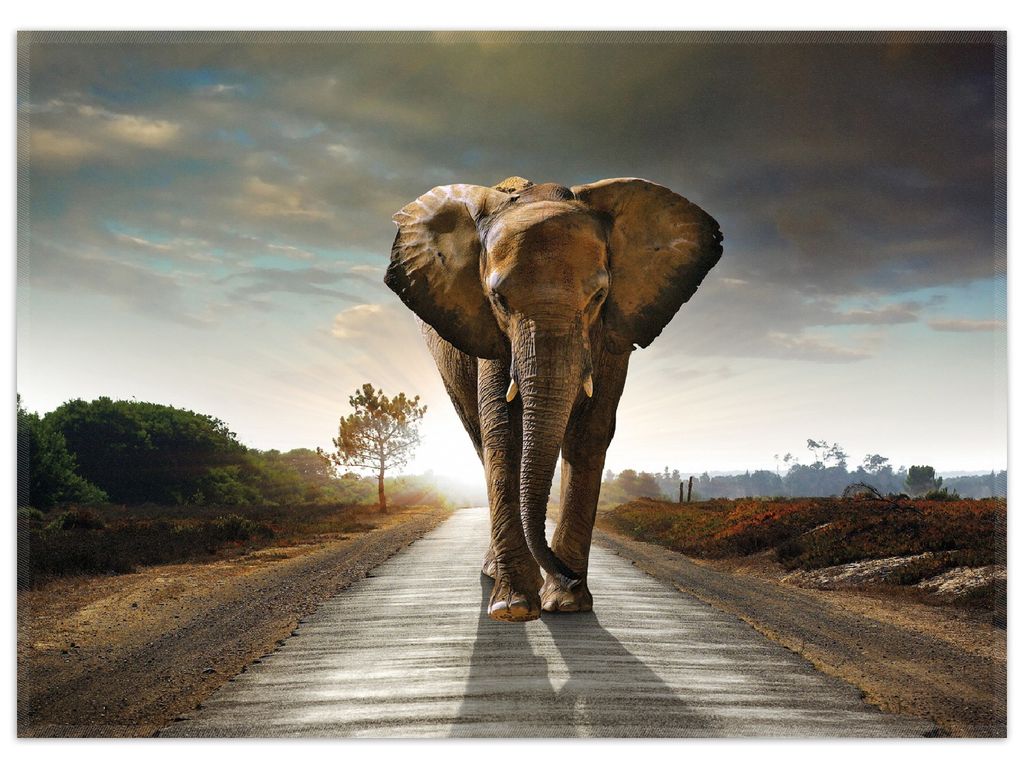 Wallario Premium Teppich, Größe 50 x 70 cm, Elefant bei Sonnenaufgang in Afrika