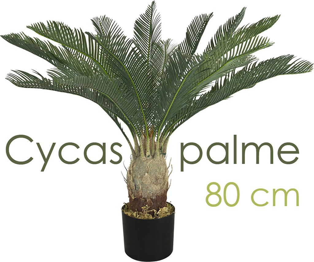 Palmier Palma cycas Plante Artificielle Artificiel 80 cm Immagine del prodotto 