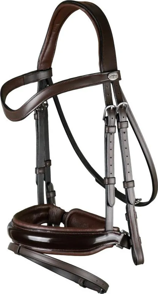 Bridon combiné suédois en cuir verni noir pour filet de dressage Cob