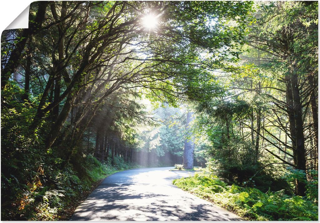 ARTland Poster Sonniger Wald Größe: 70x50 cm Produktbild 